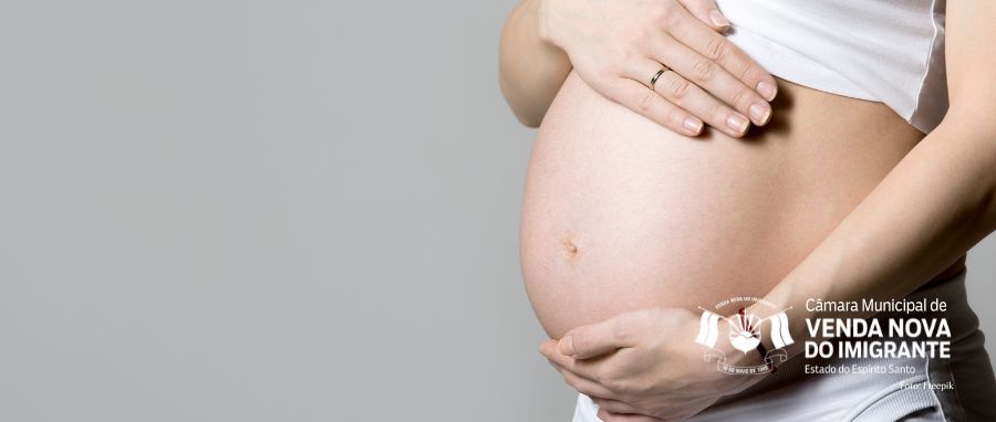 NOTÍCIA: Vereadores de Venda Nova aprovam moção de apoio ao Congresso e contra legalização do aborto no Brasil