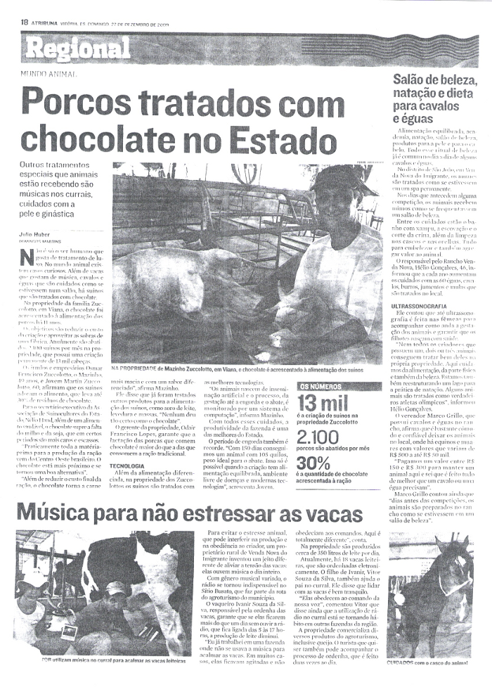 Salão de beleza, natação e dieta para cavalos e éguas