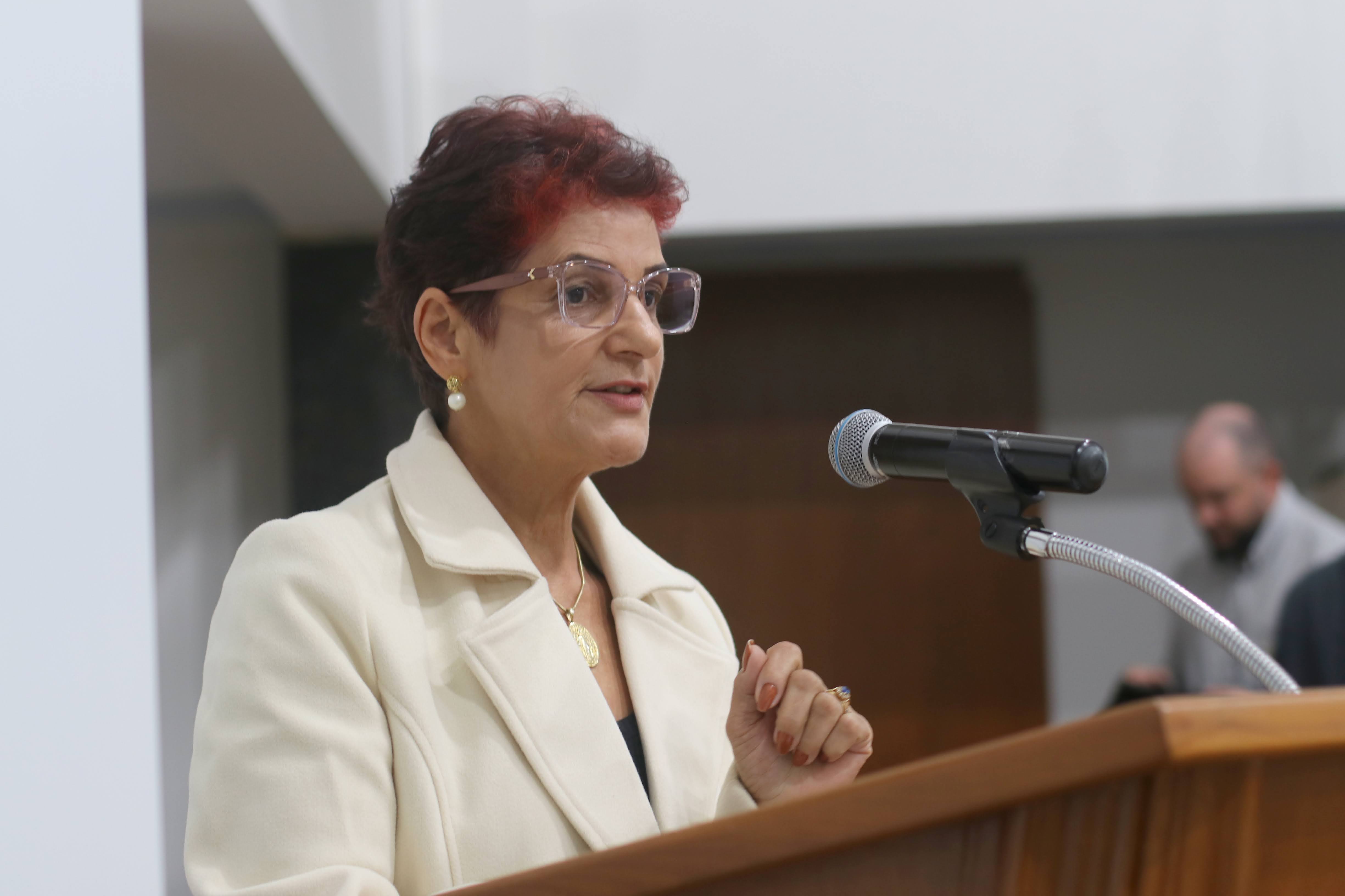 16ª Sessão Ordinária: Câmara reconhece trabalho dos Alcoólicos Anônimos em sessão com presença de sua representante